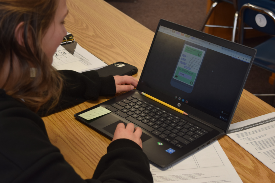 Sophomore Lauren Gottlieb advances her knowledge in AP Computer Science.
