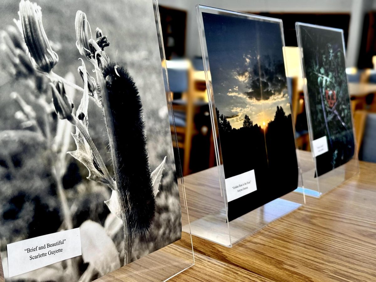 Journalism Students Showcase Excellence in Photography